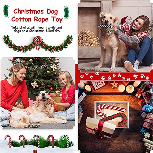 5 Pack Christmas Dog Chew and Training Toys K3284