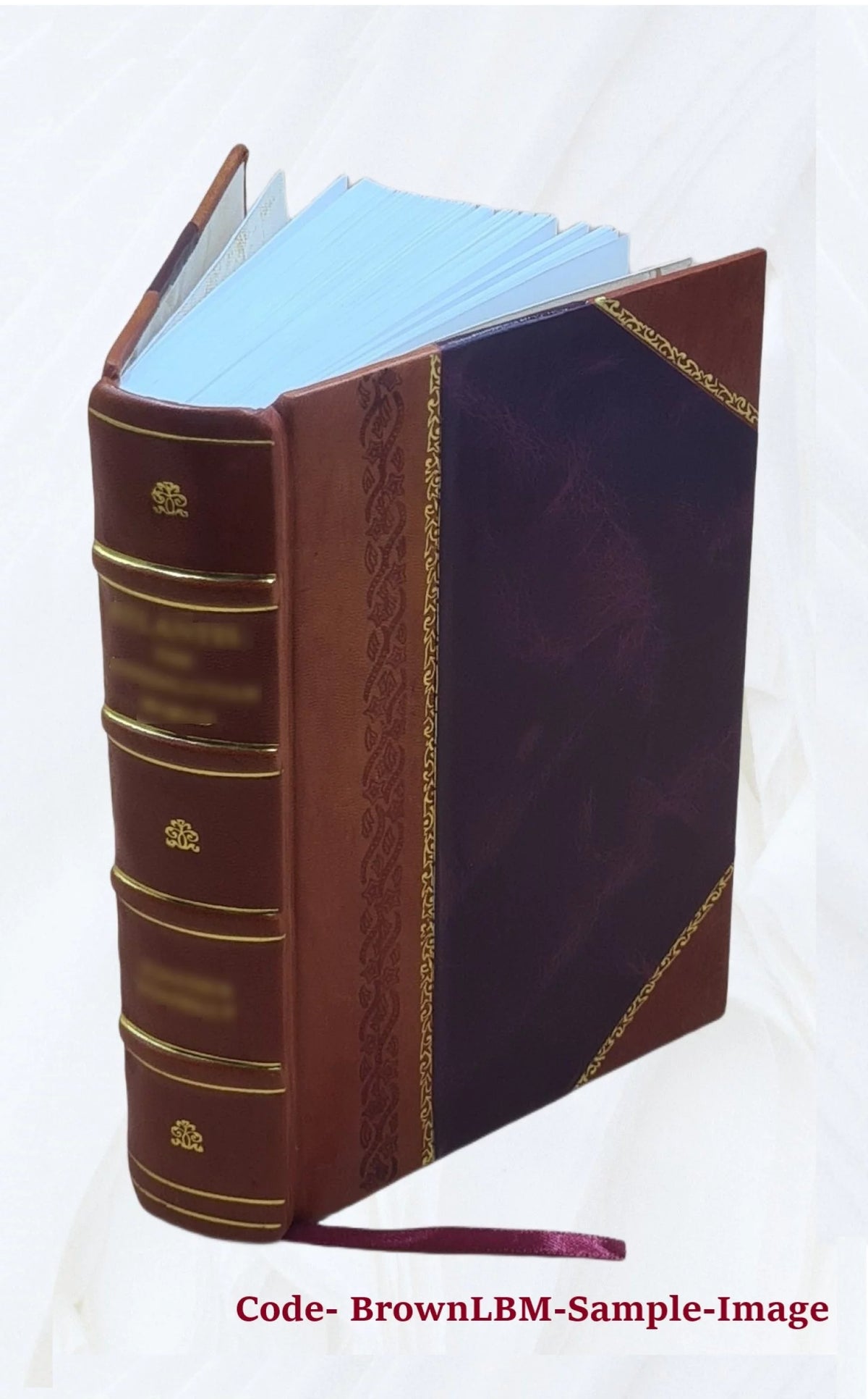 History of Holland and the Dutch Nation R4158