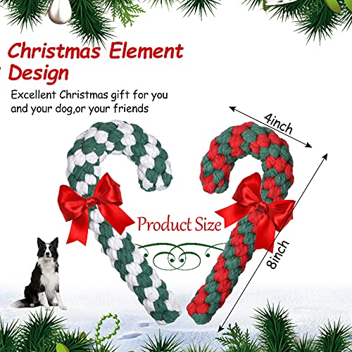 5 Pack Christmas Dog Chew and Training Toys K3284