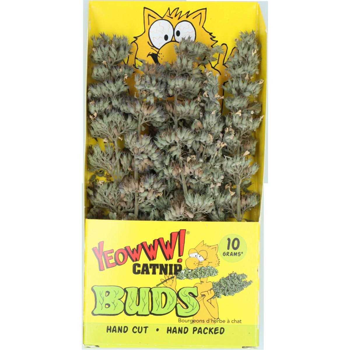 Catnip Buds P9794