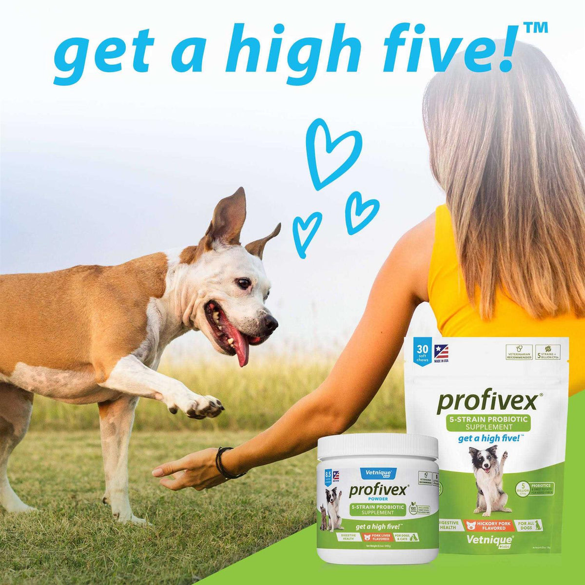 Probiotic Powder for Dogs & Cats E86231