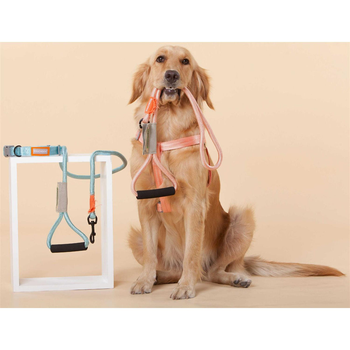 Nylon Dog Harness and Leash X650405