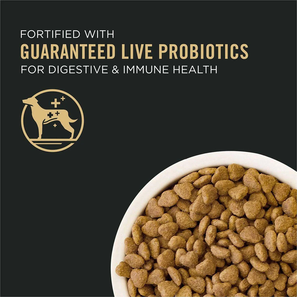 High Protein Small Bites Lamb and Rice Dog Food W595257