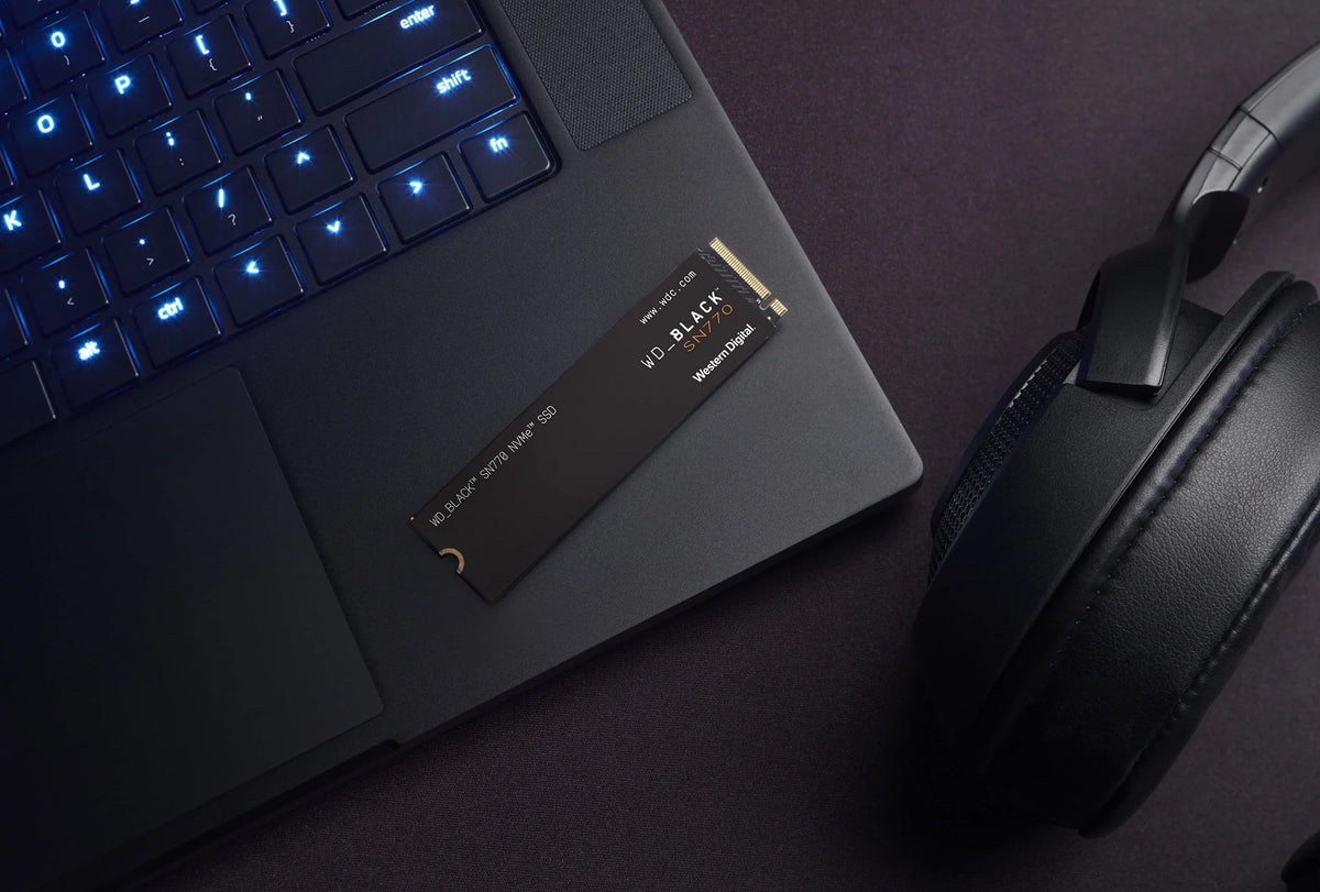 Black 1TB NVMe Internal Gaming SSD X695