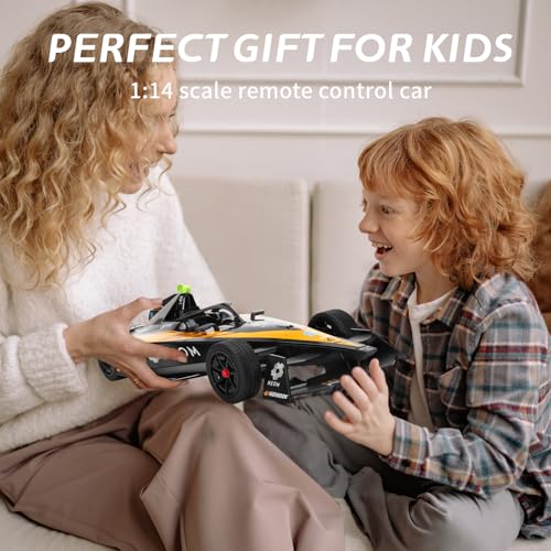 Remote Control Car 1/14 Scale 2.4GHz B109856