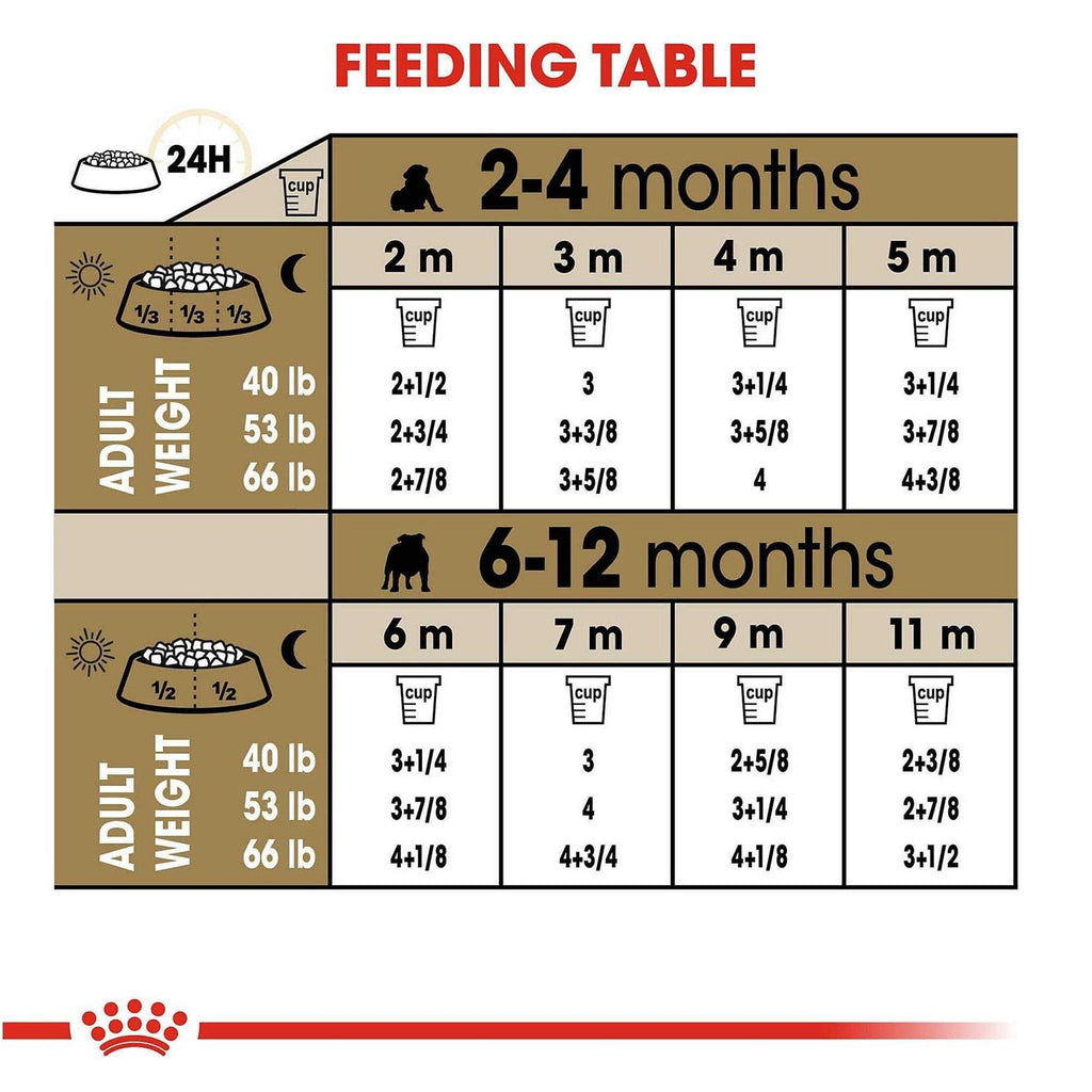 Bulldog Puppy Dry Dog Food V332