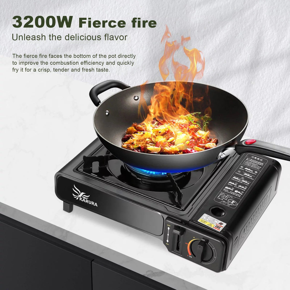 Portable Propane or Butane Camping Stove with Carrying Case H180