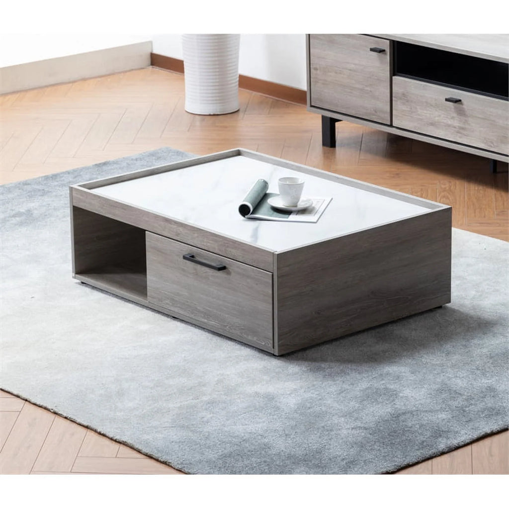 2-Piece Sleeper Sofa and Coffee Table Set B927