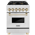 24 2.8 cu. ft. Dual Fuel Range Stainless Steel Q215