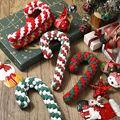 5 Pack Christmas Dog Chew and Training Toys K3284