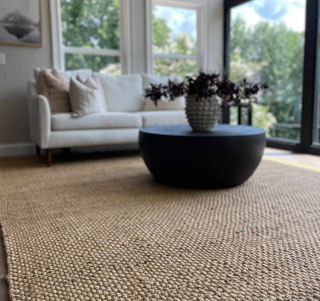 Beige 2' x 3' Jute Area Rug T240