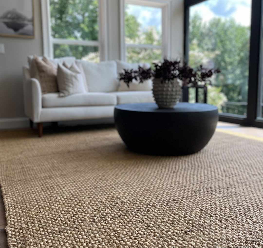 Beige 2' x 3' Jute Area Rug T240