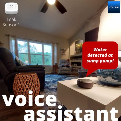 Smart Home Starter Kit: Hub & Water Leak Sensor 4-Pack W408