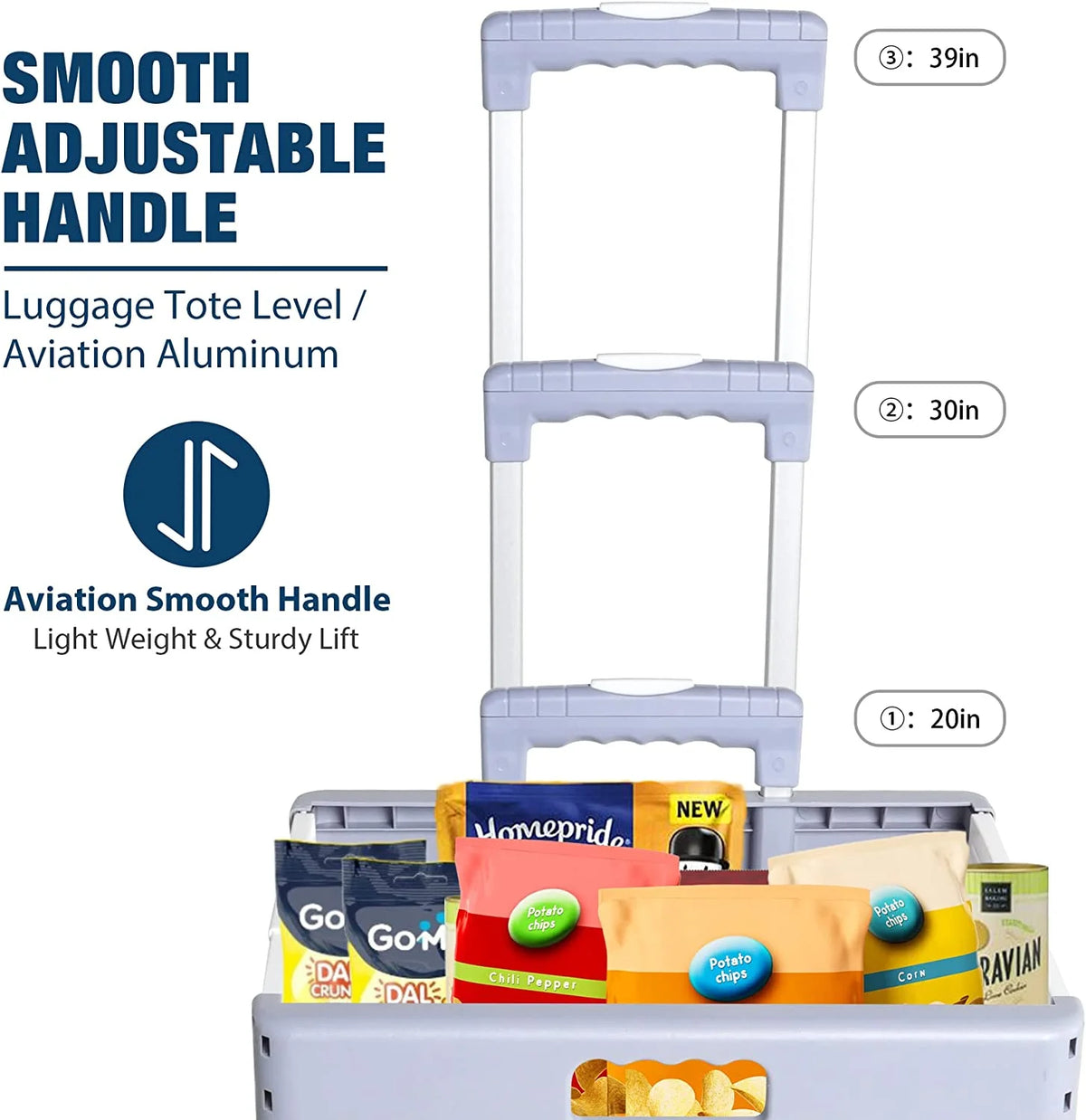 Foldable Rolling Crate with Lid Wheels, Gray T2855