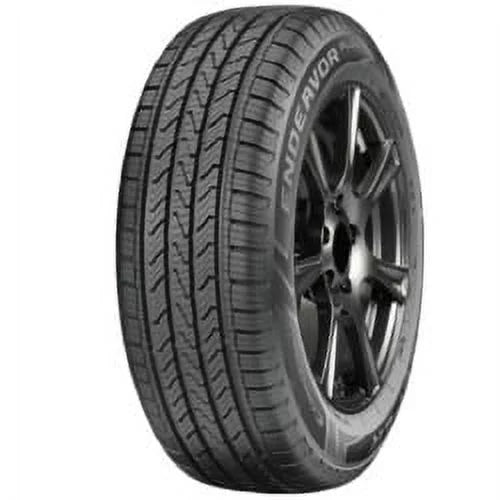 225/55R19 99H Tire F5231