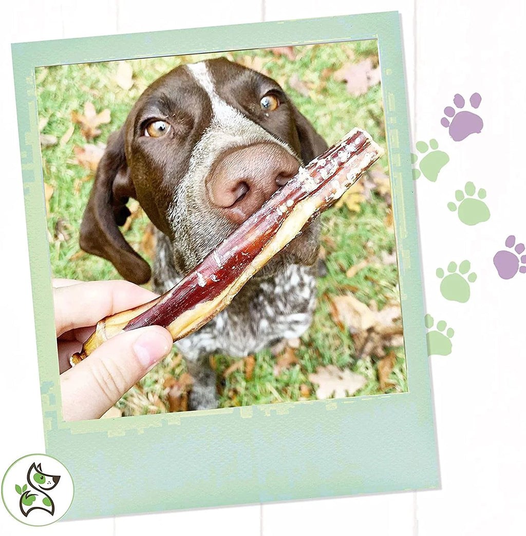 Large Beef Bully Sticks for Dogs 5-6" 15 Count M824