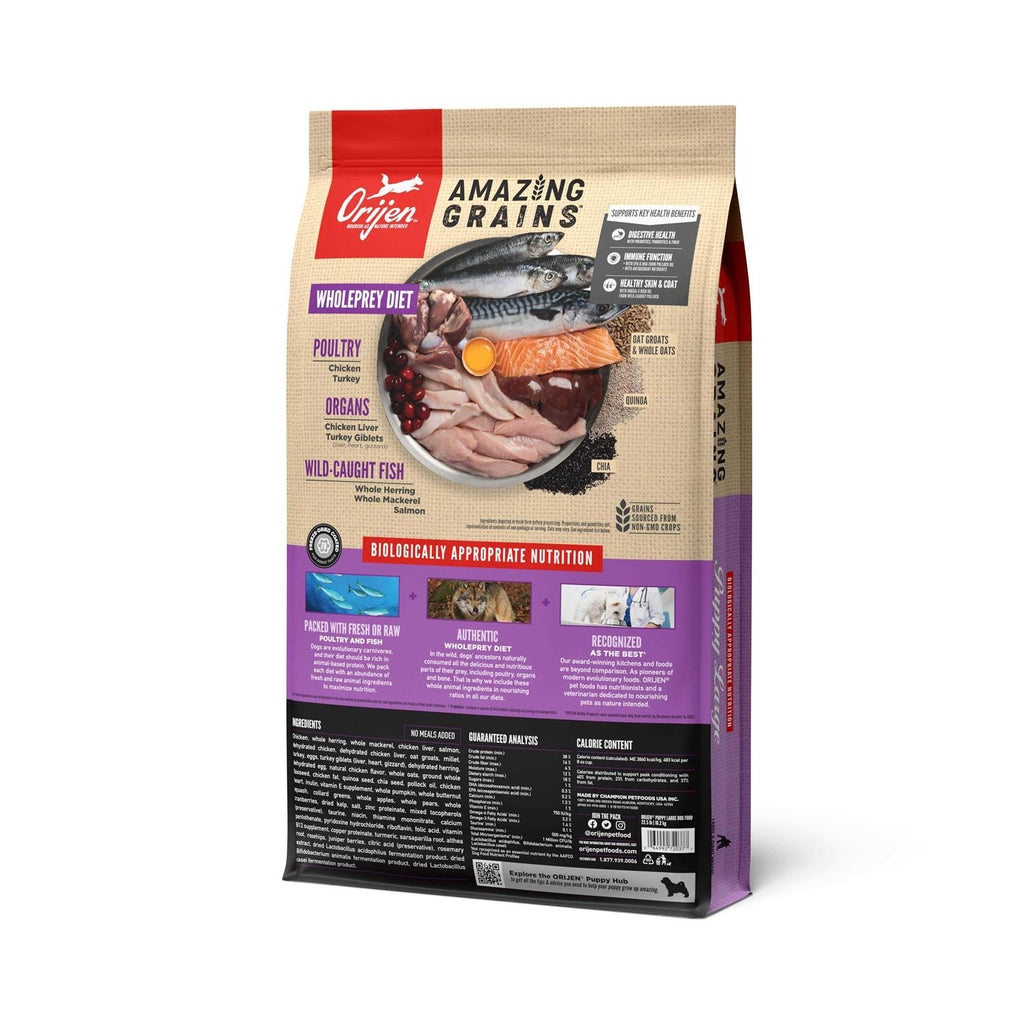 Large Breed Puppy Dry Dog Food O83799