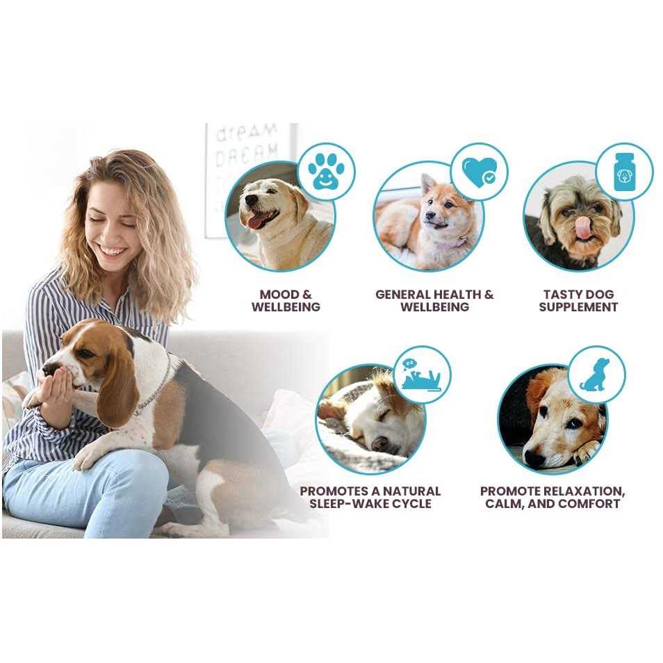 Milk Thistle for Dogs 100mg 60 Beef Flavored Tablets X754229