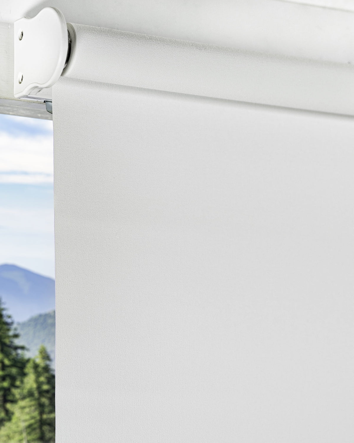 Cordless Roller Shade Blackout 23"W X 72"H Z793