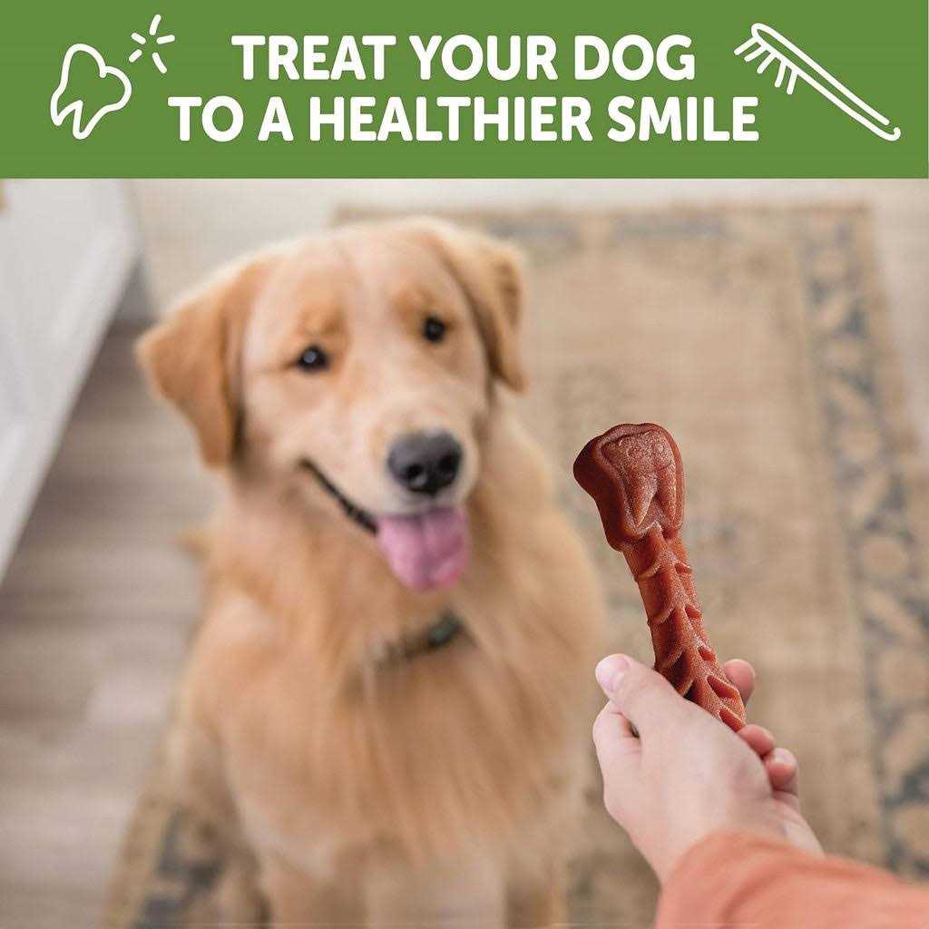 Natural Dental Dog Treats G736