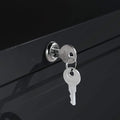 2 Drawer Black Lateral File Cabinet T129661