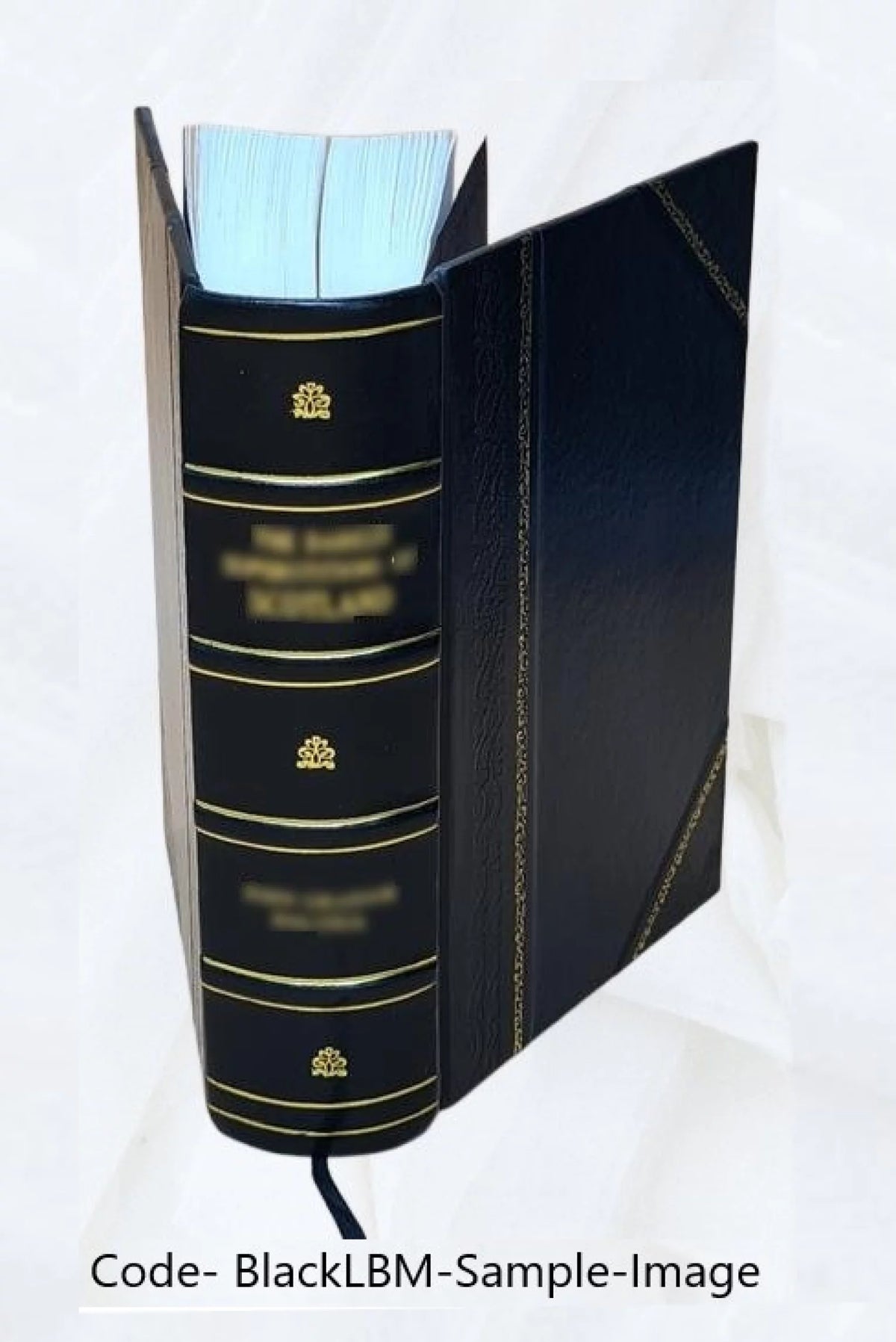 History of Holland and the Dutch Nation R4158