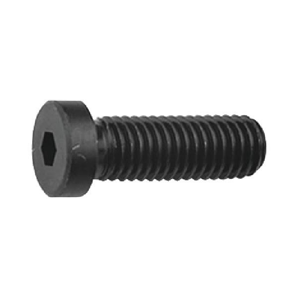 M10 x 50mm Low Head Cap C53548
