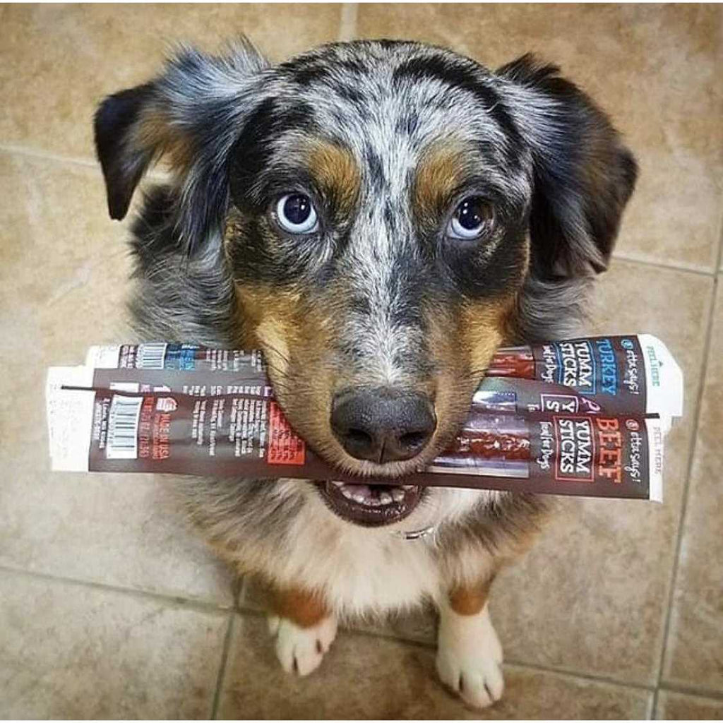 Beef Dog Treats D6487