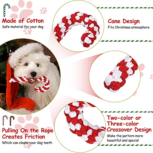 5 Pack Christmas Dog Chew and Training Toys K3284