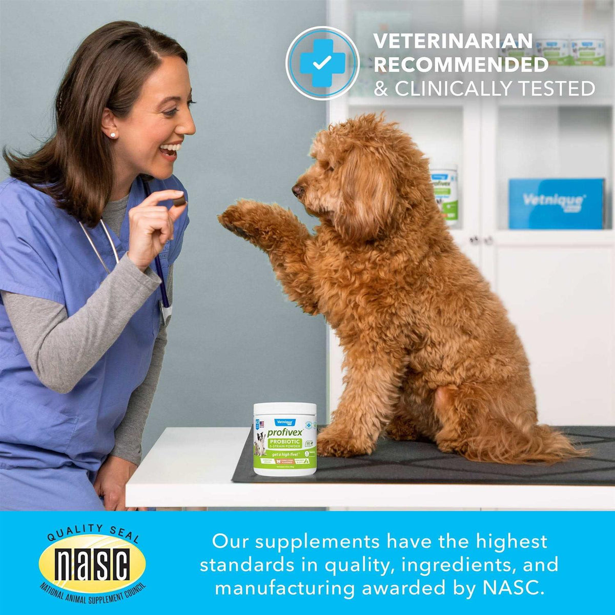 Probiotic Powder for Dogs & Cats E86231