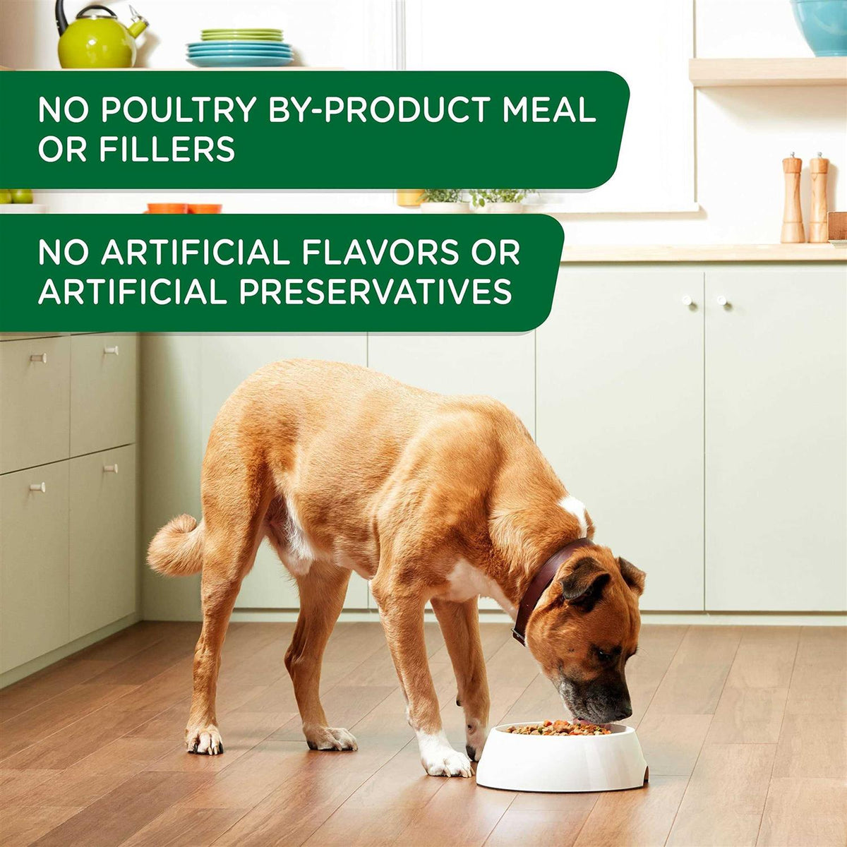 Wet Dog Food Chicken Apple C80189