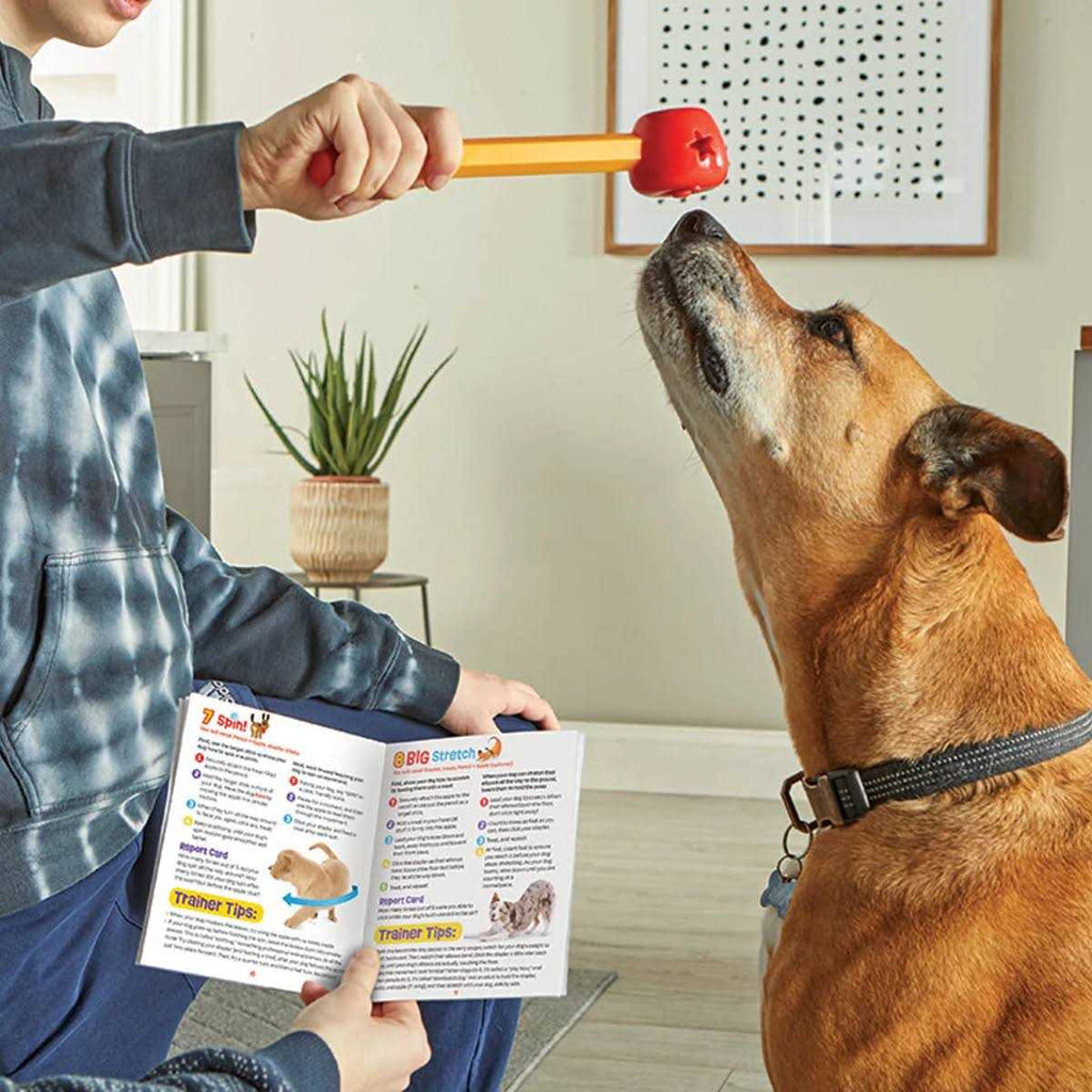 Pet Training Set G13253