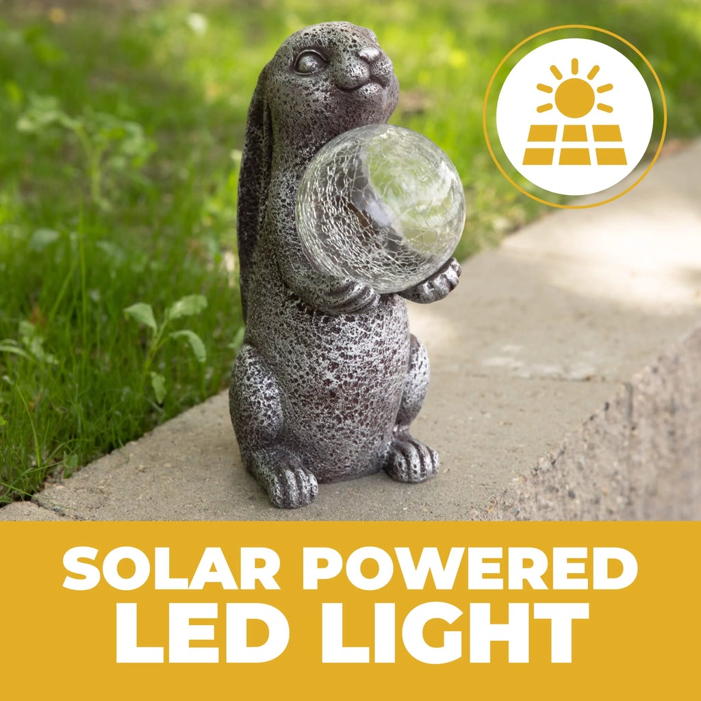 Solar Powered Outdoor Decor Garden Light H356548