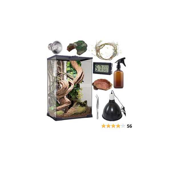 Reptile Terrarium 8 * 8 * 12 Amphibian Vertical Habitat Tank Starter Kit A21953