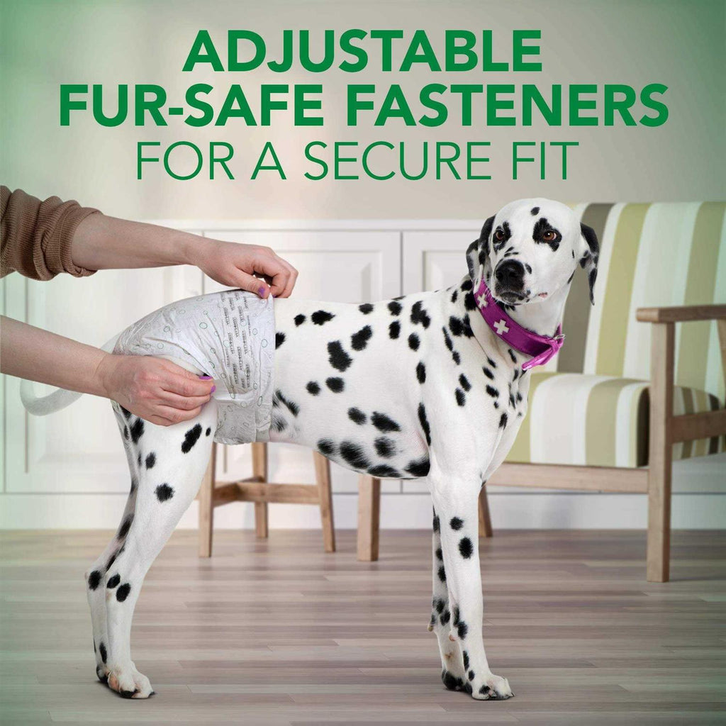 Disposable Female Dog Diapers Y39329