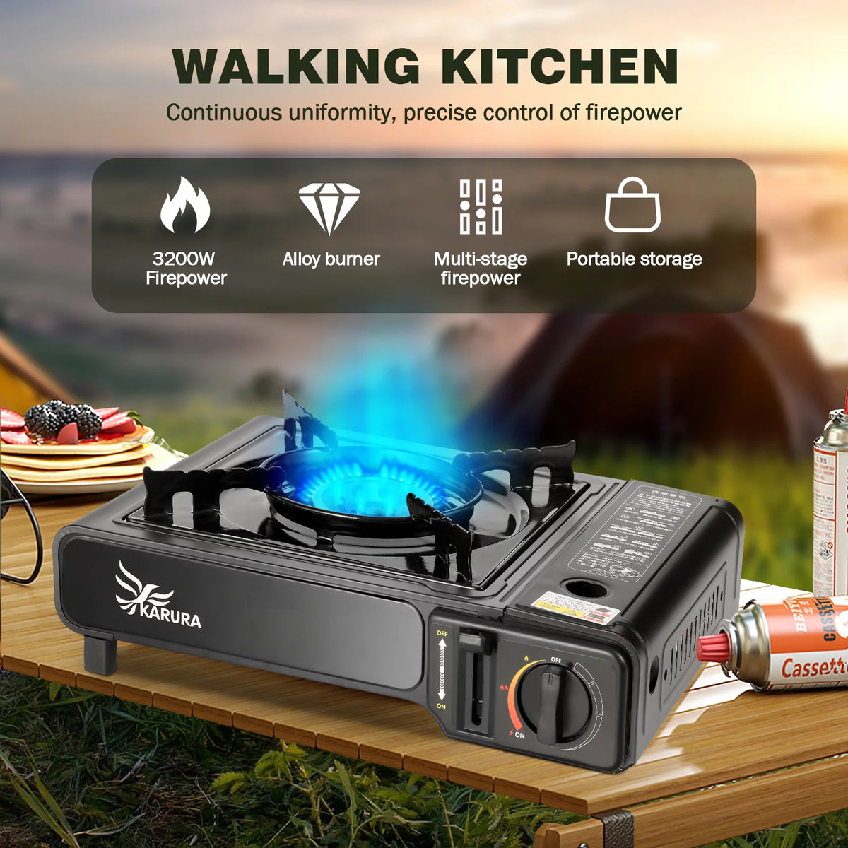 Portable Propane or Butane Camping Stove with Carrying Case H180