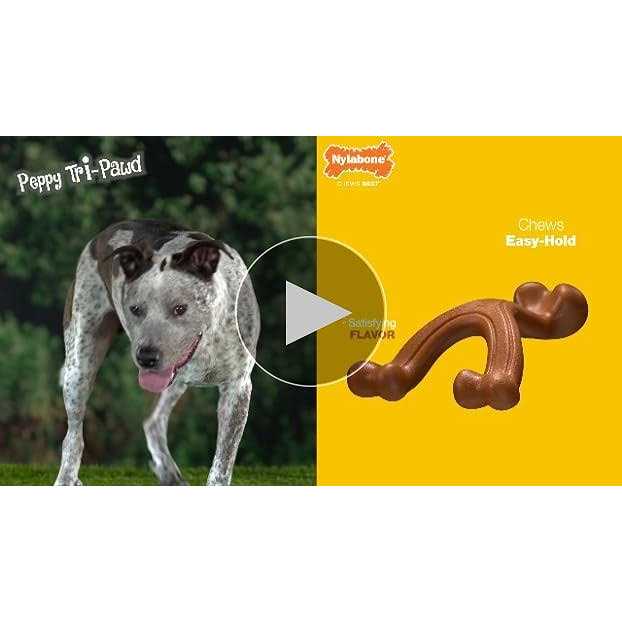 Big Chew Beef Bone Y319