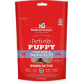 Freeze-Dried Raw Dog Food Salmon Patties U144