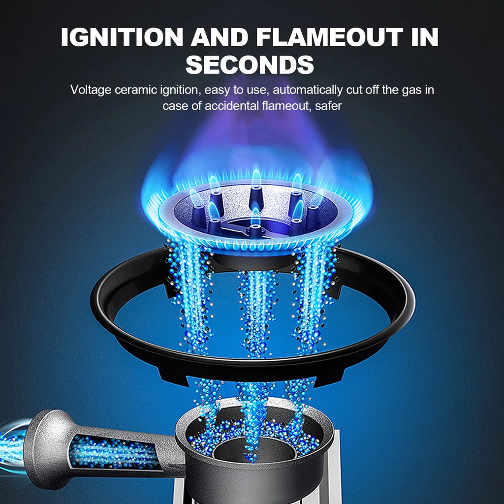 Portable Propane or Butane Camping Stove with Carrying Case H180