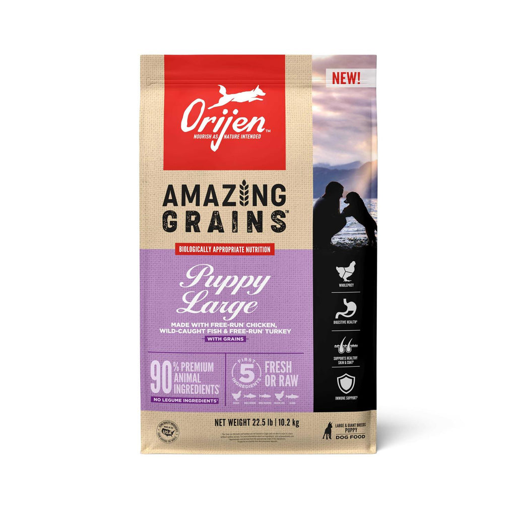 Large Breed Puppy Dry Dog Food O83799