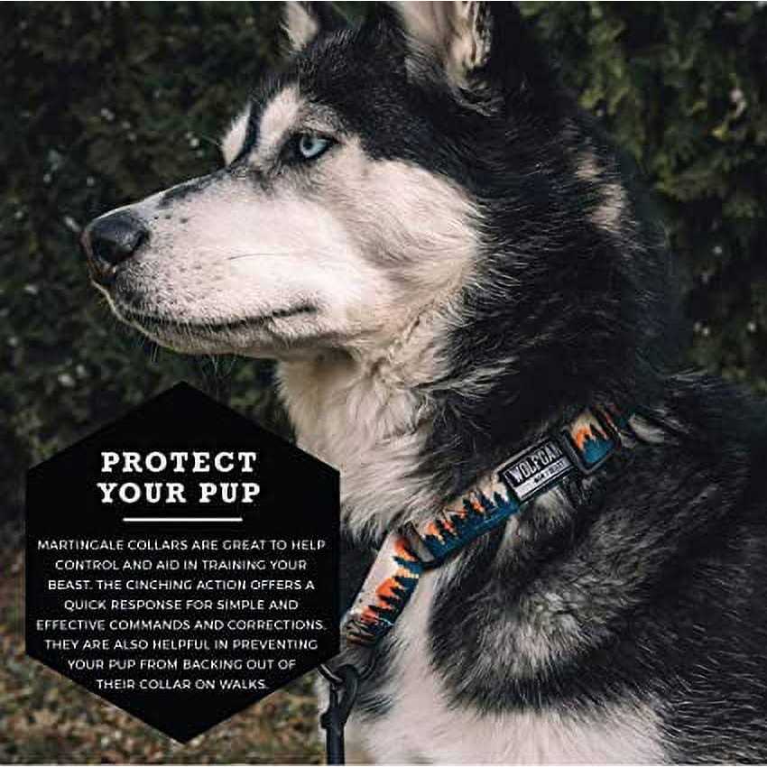 Martingale Dog Collar T333