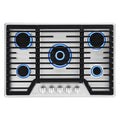 Stainless Steel Built-In Gas Cooktop with 5 Burners D73084