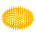 Spiky Football Squeaker Dog Toy L6737