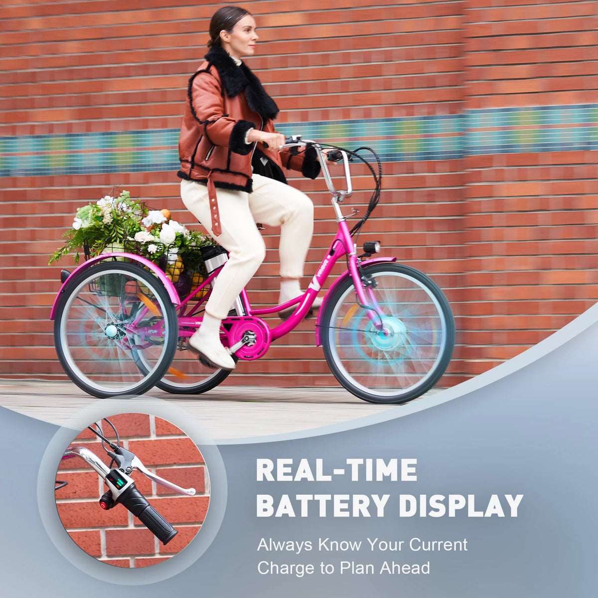 24 Inch Electric Tricycle with 250W Motor 36V 10Ah Battery Black X94302