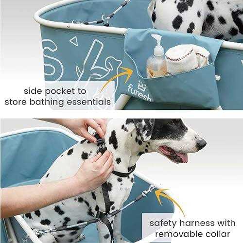 Big Dog Bath Tub with Stairs B437849