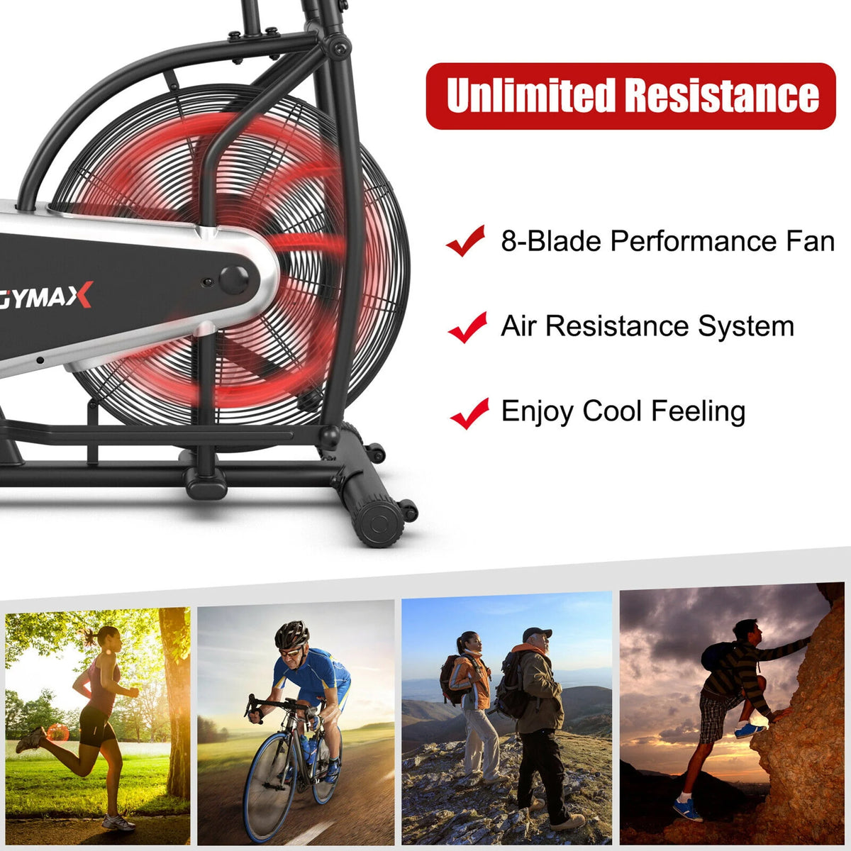 Fan Exercise Bike with LCD Display G49321