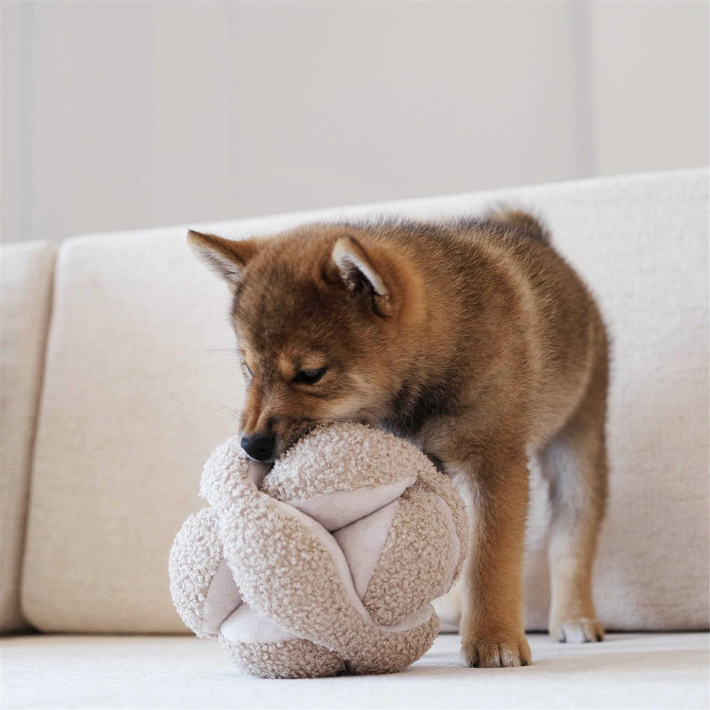 Dog Toy H931