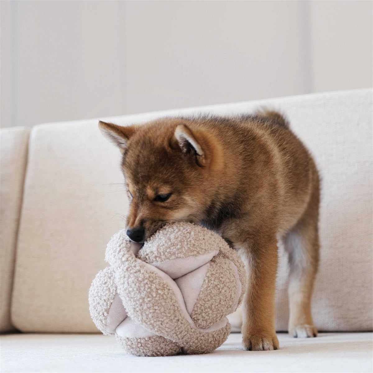 Dog Toy H931