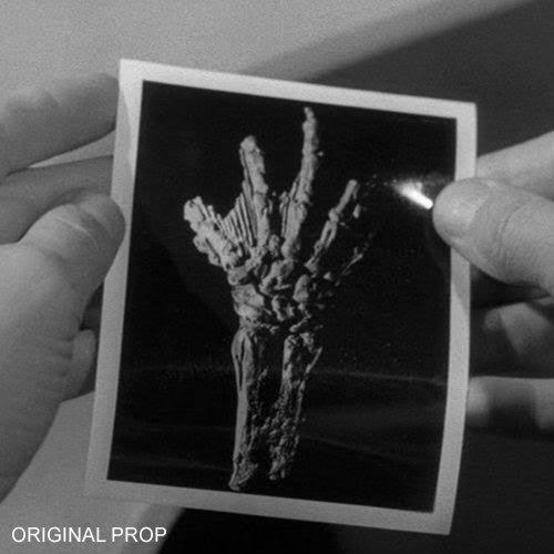 Fossilized Creature Hand Prop Replica D143