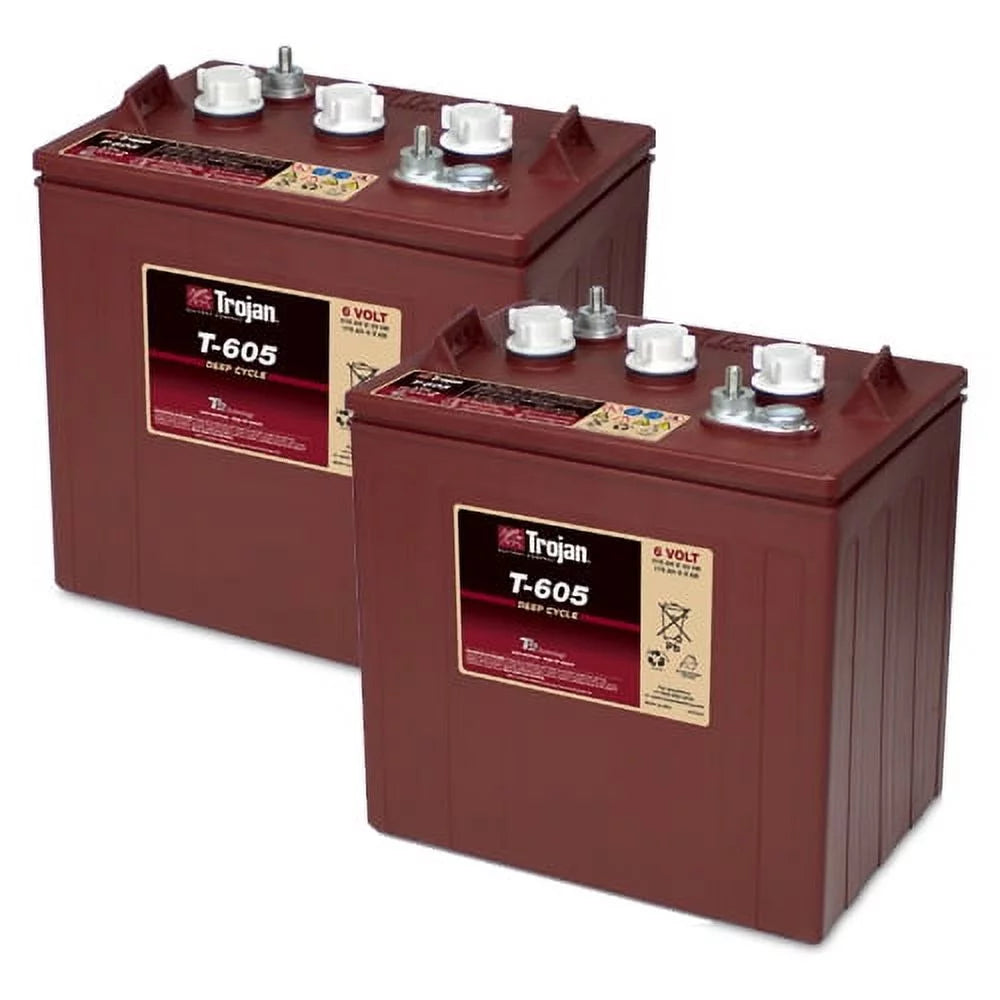 6 Volt 210 AH Deep Cycle Battery 2 Pack V96465